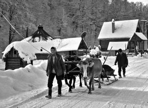  Winter road in Lumshory