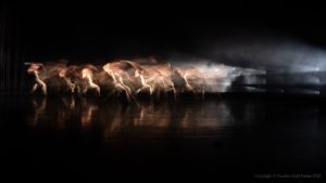 Dreamdance study 439