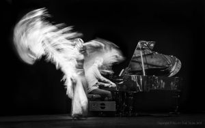 Flamenco Elan study 67