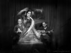 Flamenco Elan study 99