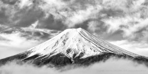 Majestic study 20