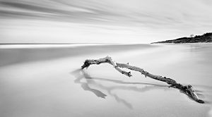 Sea silence